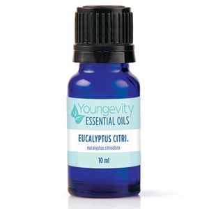 Eucalyptus Citriodora Essential Oil - 10 ml