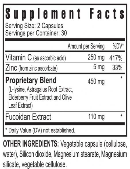 FucoidZ - ZRadical™ Fucoidan Extract - 60 Capsules