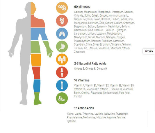 The 90 Essential Nutrients - Path to Wellness