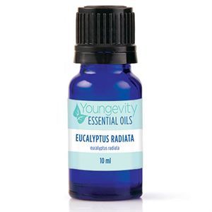 Eucalyptus Radiata Essential Oil - 10ml