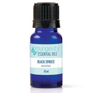 Black Spruce Essential Oil - 10ml