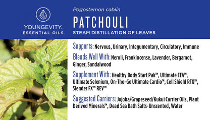 Patchouli Essential Oil - 10 ml