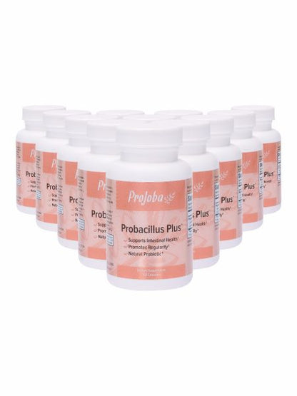 ProJoba Probacillus Plus™ - 60 capsules (12 Pack)