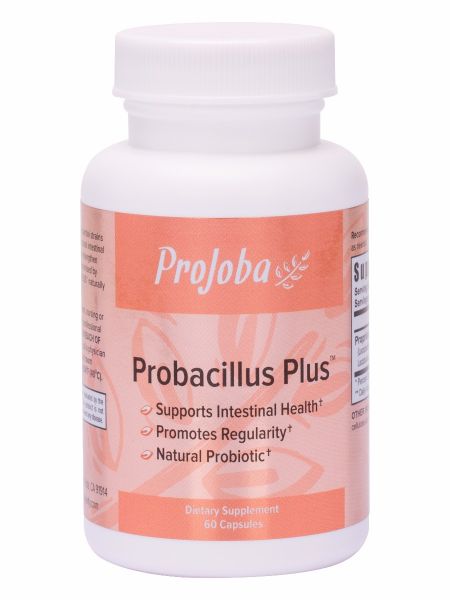Projoba Probacillus Plus™ - 60 capsules