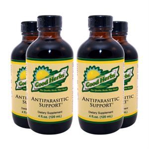 G.I. Cleanse / Antiparasitic Support - 4 Pack